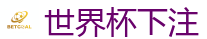 2026世界杯 (FIFA WorldCUP)中国外围指定网站